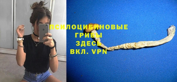 экстази Белокуриха